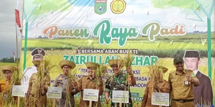 Panen Raya Padi di Tanah Bumbu: Optimalkan Pertanian untuk Pemasok Pangan Kalsel dan IKN