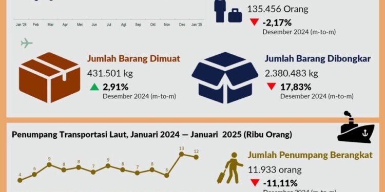 Transportasi Selama Bulan Januari 2025, BPS Catat 127.169 Orang Berangkat Melalui Bandara di Kalsel
