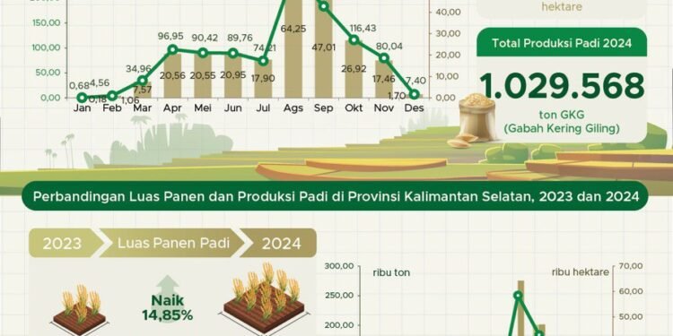 Tahun 2024, Realisasi Luas Panen Padi Mencapai 246.112 Hektare