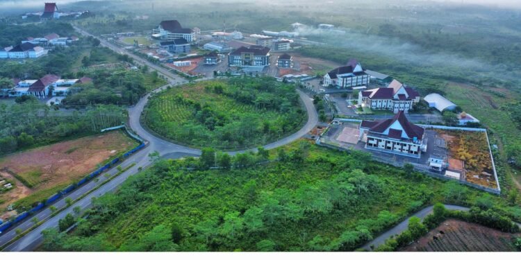 Dishut Lakukan Penyulaman Bibit Eucalyptus, Ciptakan Forest City sebagai Ikon Hijau di Pusat Pemerintahan Kalsel