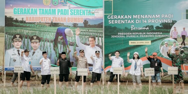 Tanam Padi Serentak Bersama Presiden, Kegiatan di Kalsel Dipusatkan di Tanbu dan Dipimpin Bupati Andi Rudi Latif