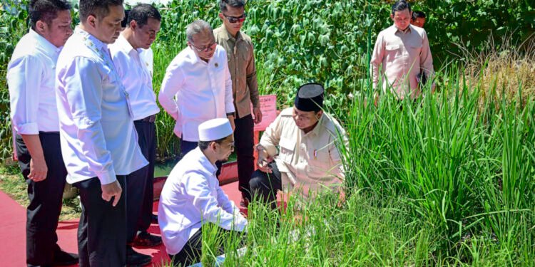 Presiden Prabowo: Indonesia Jadi Lumbung Pangan Dunia
