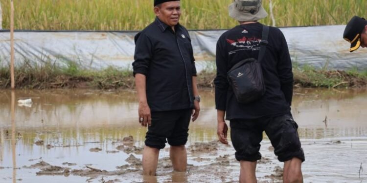 Hasanuddin Dorong Pemerintah Pusat Prioritaskan Pembangunan Irigasi dan Infrastruktur Pertanian di Tanah Bumbu