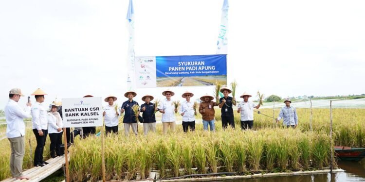 Inovasi Padi Apung Tunjukkan Hasil Menggembirakan, Kalsel Gelar Syukuran Panen Padi Apung di Desa Siang Gantung