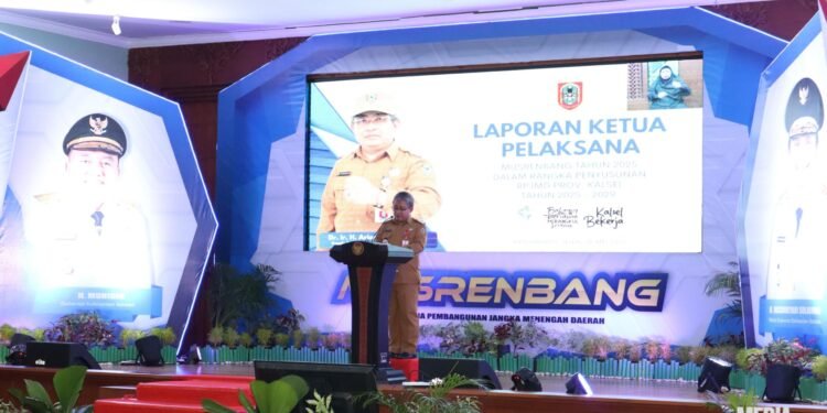 Pemprov Kalsel Rancang Strategi Pembangunan Berkelanjutan untuk Pencapaian RPJMD 2025-2029