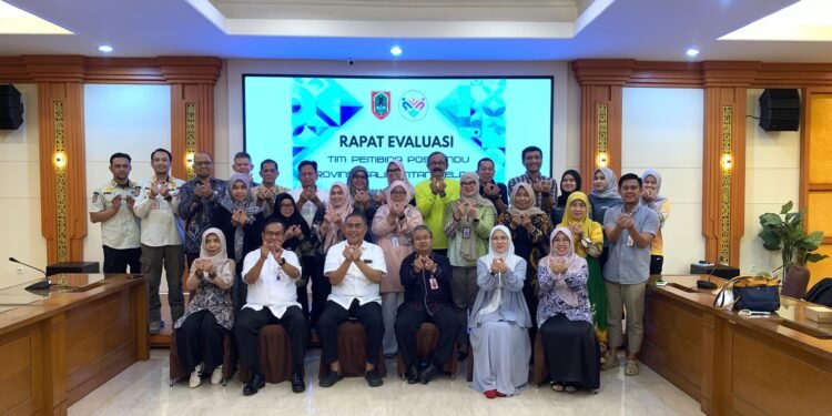 TP Posyandu Kalsel Koordinasikan Pengisian Self-Assesment dalam Penerapan Wajib Dasar 6 SPM