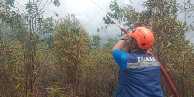 Kalsel Masuki Peralihan Musim, Puncak Kemarau Terjadi pada Agustus Hingga September