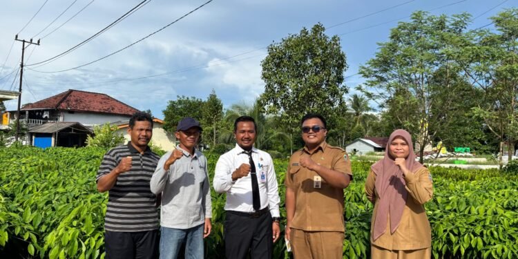 Dukung Program BANGSIBUN BAKARET, BPSBP Kalsel Kawal Penyediaan Benih Karet Unggul
