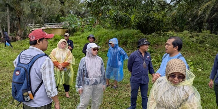 Dishut Kalsel Rencanakan Penanaman Mangrove di Desa Sabuhur Kabupaten Tanah Laut