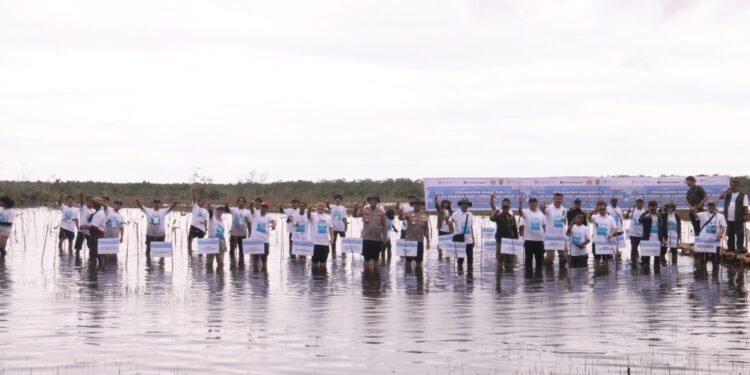 KLH Bersama Kelompok Tani Hutan Tambak Sabalai Menanam Mangrove di Kabupaten Tanah Laut