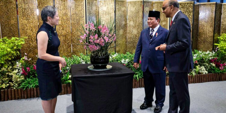 Presiden Prabowo Beri Nama Anggrek “Paraphalante Dora Sigar Soemitro” dalam Kunjungan Kenegaraan di Singapura