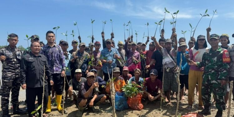 Sepanjang 2025, Pemprov Kalsel Rehabilitasi Seluas Hampir 8.000 Hektare Tanaman Mangrove