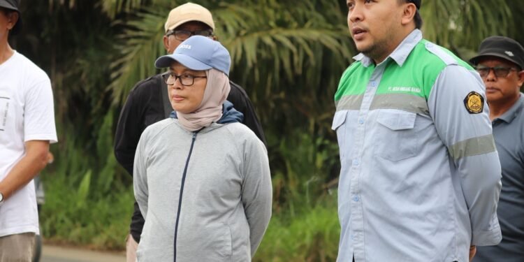 Dishut Kalsel Optimalkan Perkembangan Pengelolaan Tanaman di Kawasan Industri Batulicin