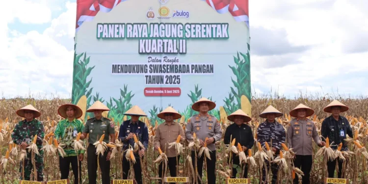 Tanah Bumbu Gelar Panen Raya Jagung, Lepas Ekspor 1.200 Ton ke Pasar Global