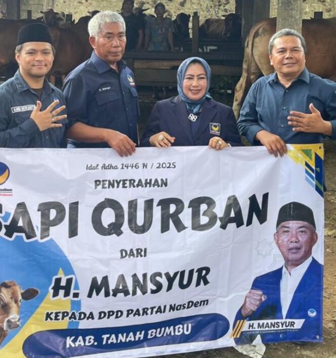
					Menjelang Idul Adha DPD Nasdem tanah Bumbu Terima sapi Qurban Dari DPW Nasdem Kalsel.