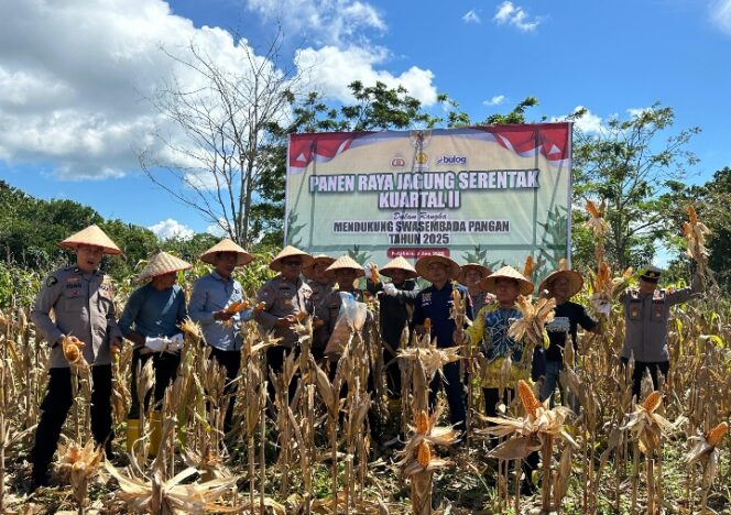
					Polres Kotabaru Gelar Panen Raya Jagung Serentak Dukung Ketahanan Pangan Nasional.