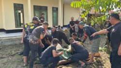 Batalyon B Pelopor Satbrimob Polda Kalsel Sembeleh 4 Ekor Hewan Qurban Jelang Idul Adha 1446 .H