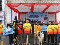 Sambut HUT  Hari Bhayangkara Ke -79  Polres Tanah Bumbu Gelar Kontes Kambing BerAksi