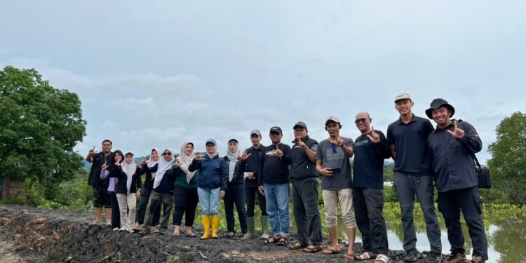 Jaga Ekosistem Tanaman Mangrove, Dishut Kalsel Rampungkan Survei Intensif di Tiga Titik