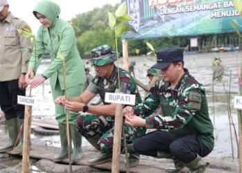 Peringati HUT Ke-67 Kodam VI/Mulawarman, Tanam Mangrove di Kawasan Pesisir Tanah Bumbu