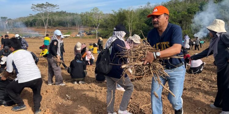 Optimalkan Lahan Tidur, DPKP Kalsel Bersihkan Eks Sport Center untuk Pertanian dan Ketahanan Pangan