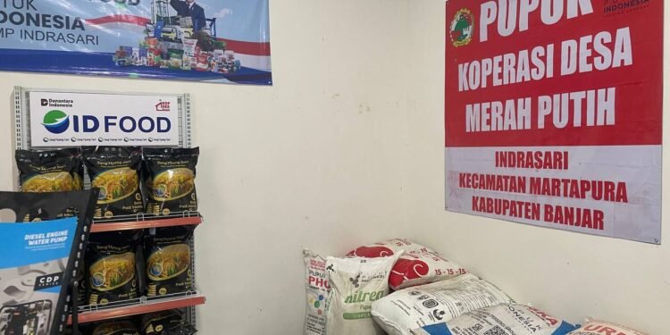Perkuat Ketahanan Pangan, Kopdes Merah Putih Indrasari Hadirkan Solusi untuk Pertanian Kalsel