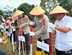 *Polres Kotabaru Gelar Penanaman Jagung Serentak Kuartal III, Wujud Nyata Dukung Ketahanan Pangan Nasional*