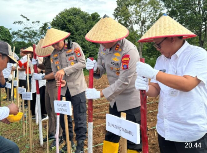 
					*Polres Kotabaru Gelar Penanaman Jagung Serentak Kuartal III, Wujud Nyata Dukung Ketahanan Pangan Nasional*