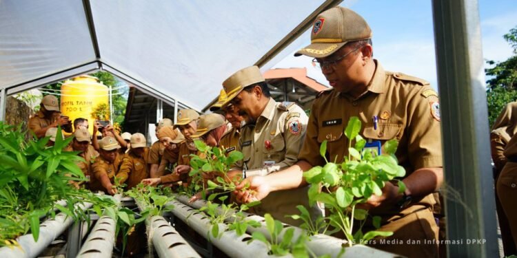 Panen Sekaligus Tanam Sayur Hidroponik, Dinas Pertanian Kalsel Perkuat Ketahanan Pangan Daerah