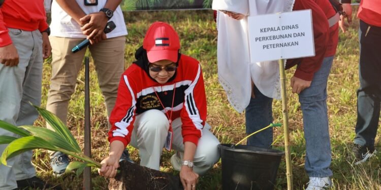 Disbunnak Peringati Harjad Ke-75 Kalsel dan HUT Ke-80 RI dengan Semangat Peduli Lingkungan