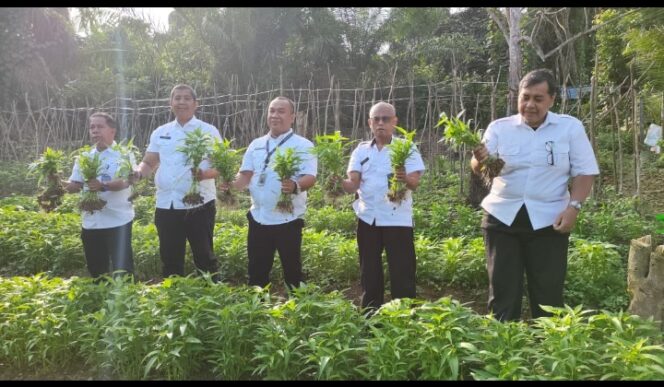 
					Berkah dari SAE: Panen Rutin Buktikan Kemandirian Warga Binaan.