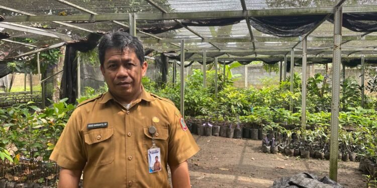 BBTPH Kalsel Perkuat Ketahanan Pangan Melalui Produksi Benih Sumber Berkualitas