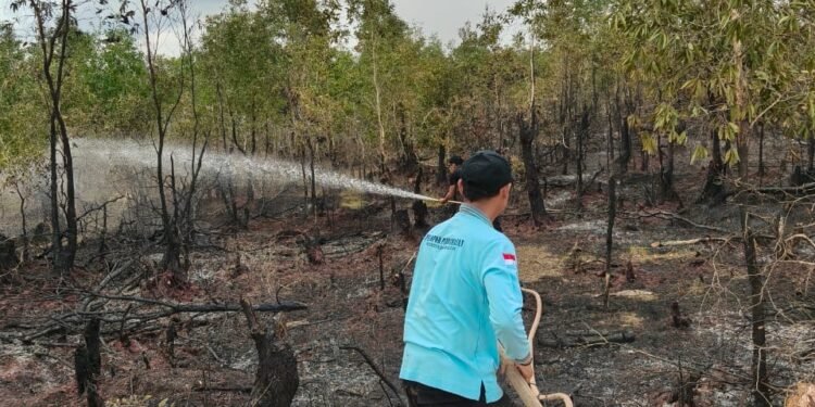 Status Darurat Karhutla Berakhir di 30 September, Dinsos Kalsel Pastikan Kesiapsiagaan Tetap Dilakukan