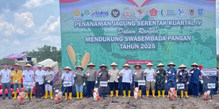 Gubernur Kalsel Dukung Penuh Penanaman Jagung Serentak Dorong Swasembada Pangan