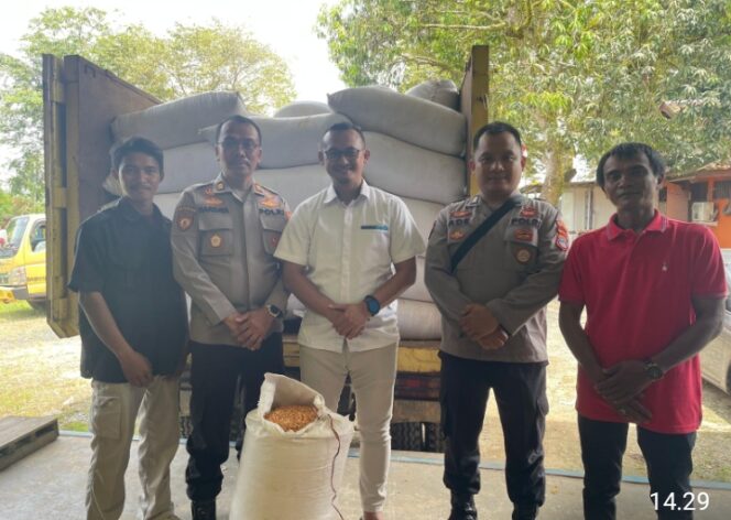 Distribusi 23 Ton Jagung PT SBT ke Gudang Bulog Tanah Bumbu Dikawal Polsek Satui