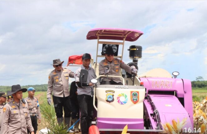 Irjen Pol Rosyanto Yudha Hermawan  Apresiasi keberhasilan panen jagung seluas 24 hektar  Oleh Polsek Satui Polres Tanah Bumbu.