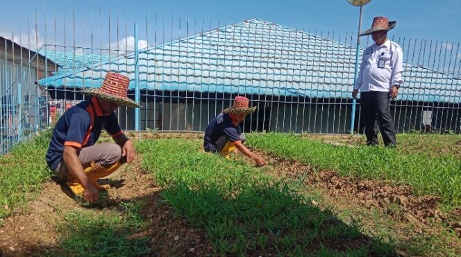 
					Produktif di Balik Jeruji, Warga Binaan Lapas Kotabaru Kembangkan Budidaya Kangkung