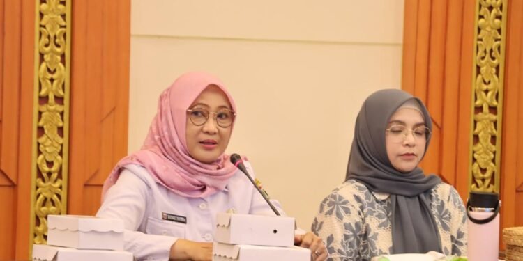 Perkuat Sinergi Organisasi Perempuan, DPPPAKB Kalsel Rapat Koordinasi Penguatan Kapasitas Lembaga