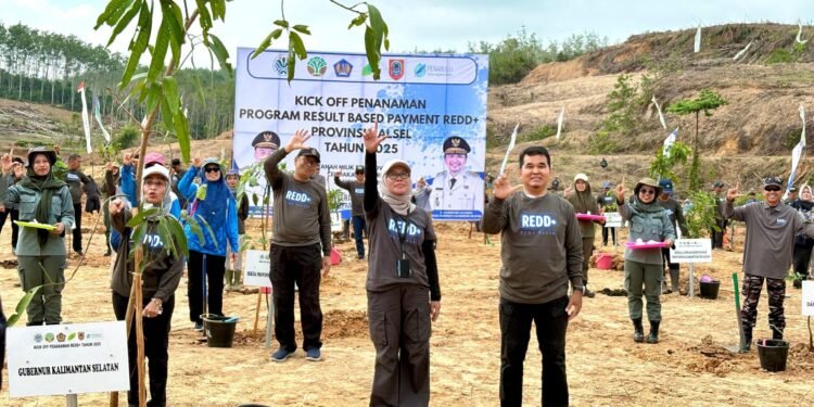 Kick Off Program REDD+, Dishut Kalsel Tanami Lahan Tidur di Cempaka