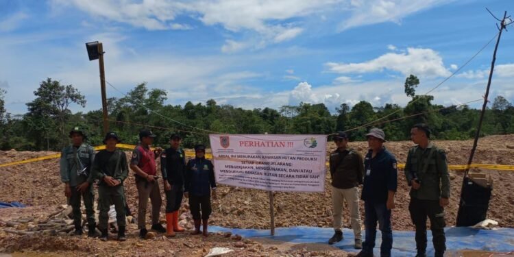 Laksanakan Patroli Gabungan, Polhut KPH Tanah Laut Amankan Sejumlah Barang Bukti