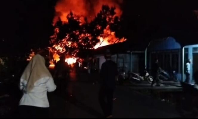 
					Sijago Merah lahap Rumah Warga Desa Berangas Kotabaru.