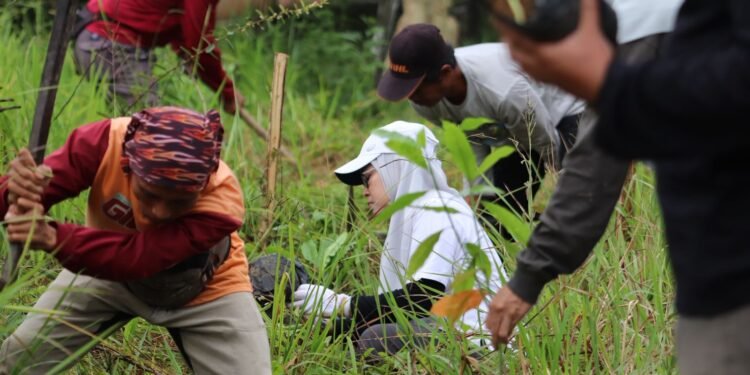 Komitmen Provinsi Hijau, Dishut Kalsel Lakukan Penanaman 300 Pohon Bintaro