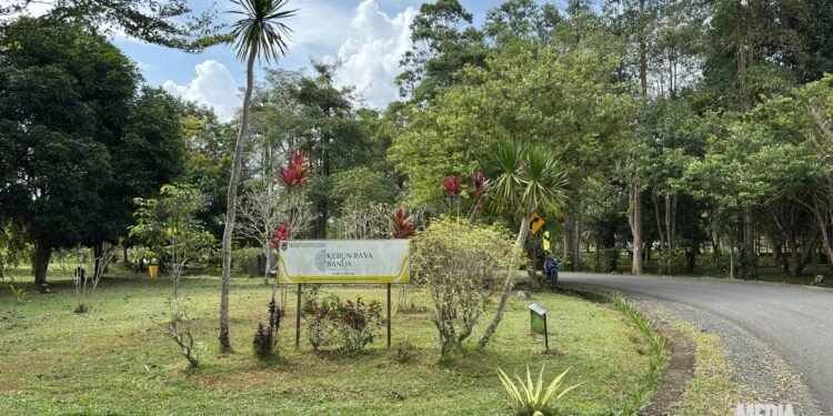 Kebun Raya Banua Siapkan Inovasi Wisata Imersif dan Penataan Lanskap di Tahun 2026