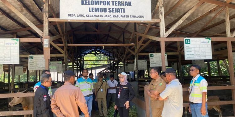 Pemprov Kalsel Perkuat Program Strategis Menuju Swasembada Daging