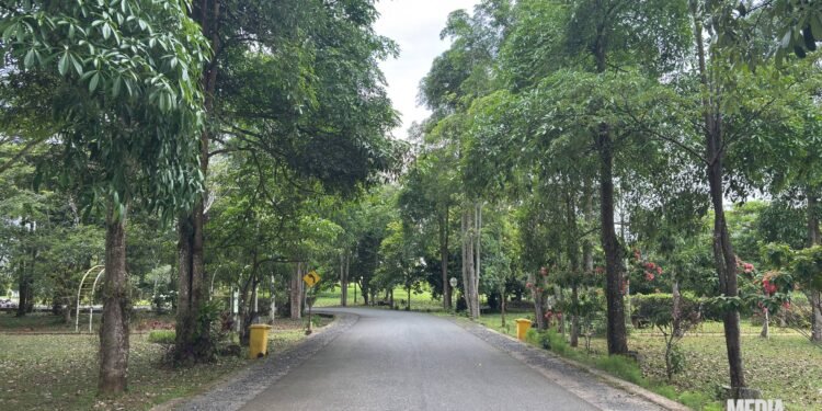 Kebun Raya Banua Percepat Konektivitas Kawasan, Jembatan Ditargetkan Selesai 2026