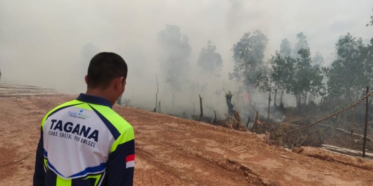 Masuk Musim Kemarau, Dinsos Kalsel Perkuat Kesiapsiagaan Karhutla