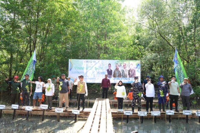
					Cegah Abrasi di Pesisir Pagatan, Bupati Andi Rudi Latif Bersama Kaka Slank Tanam Ribuan Mangrove