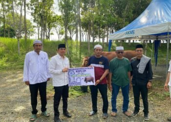 Sapi Kurban Bantuan Presiden RI Diserahkan Bupati Andi Rudi Latif  untuk Masyarakat di Hari Raya Idul Adha