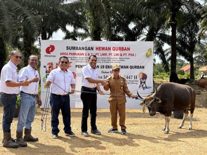 
					Wujud Kepedulian Sosial, Minamas Plantation Distribusikan 34 Sapi Qurban di Wilayah Operasional.