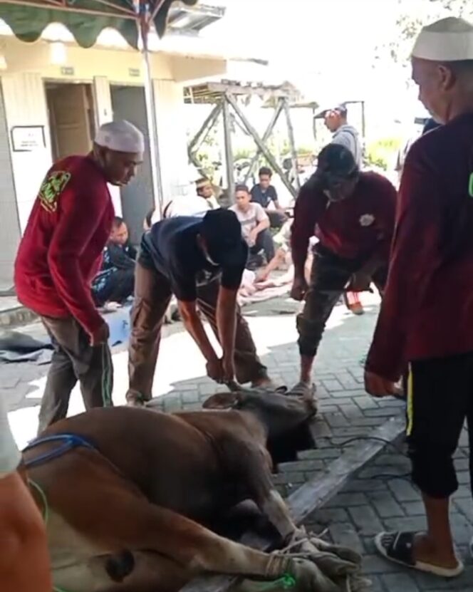 
					Wujudkan Semangat Berbagi, Majelis Taklim Nurul A’la Potong Hewan Kurban Hasil Tabungan Jemaah pada Idul Adha 1447 H Tahun 2026